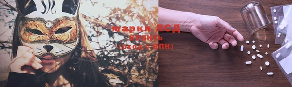 гидра Кодинск