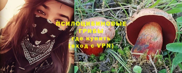 гидра Кодинск