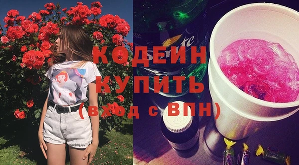 гидра Кодинск
