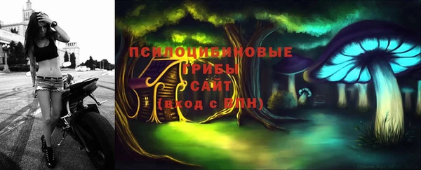 гидра Кодинск