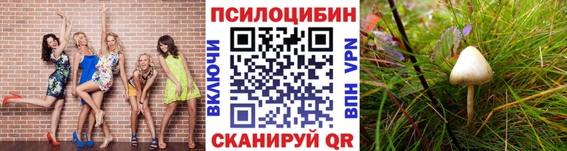 закладка OMG маркетплейс Псилоцибиновые грибы Psilocybe Билибино